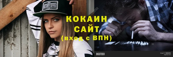 ECSTASY Алзамай