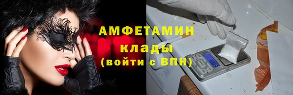 ECSTASY Алзамай