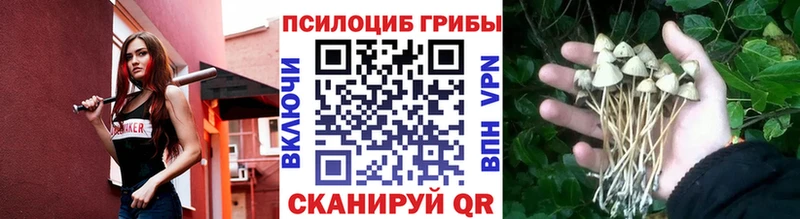 Галлюциногенные грибы MAGIC MUSHROOMS  продажа наркотиков  Сочи 