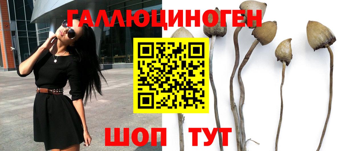 Псилоцибиновые грибы Psilocybine cubensis  Вход с VPN  Сочи 